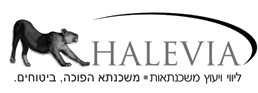 בניית אתר תדמית ל HALEVIA halevia.co.il