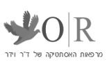 בניית אתר תדמית ל OR o-r.co.il